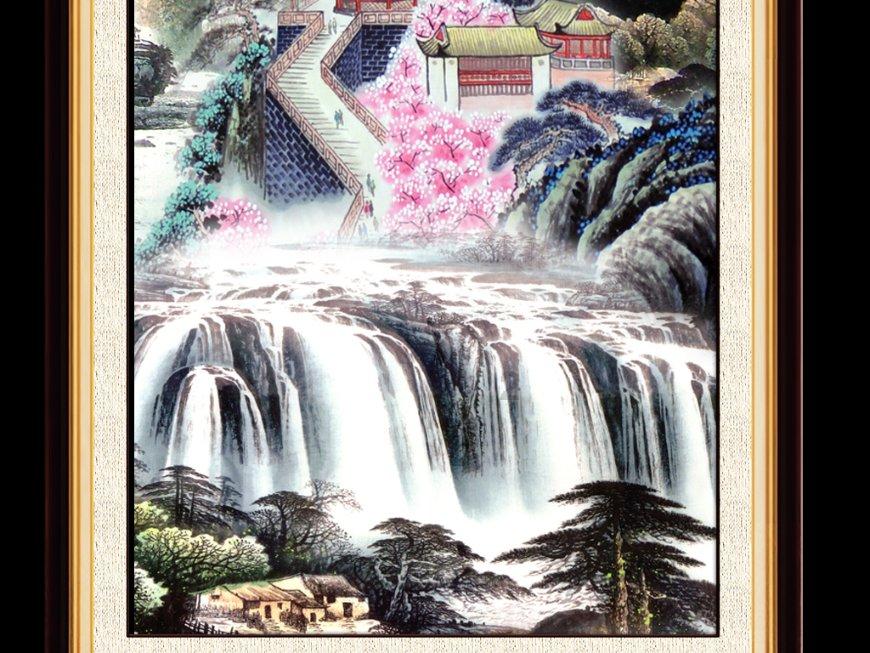 白孔雀救援